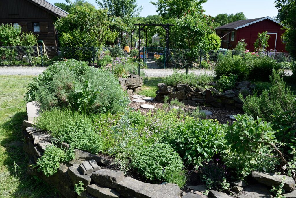 DSC_6898